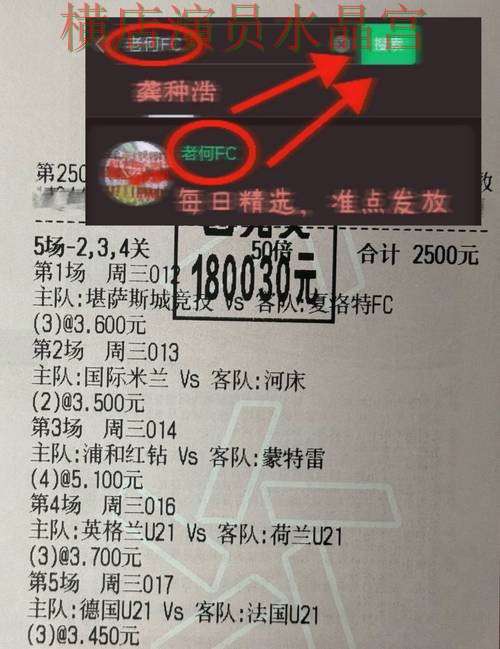 世界杯投注下载登录入口打不开怎么办实用指南