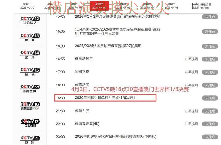 世界杯买球平台盘点合集：覆盖访问方式+直播与入口方式 - 世界杯赛事中心