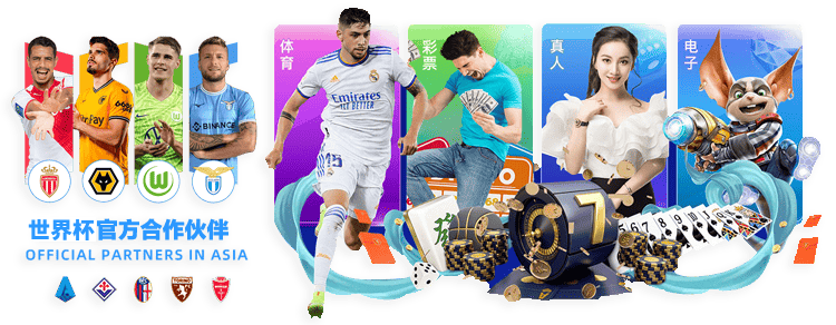 世界杯